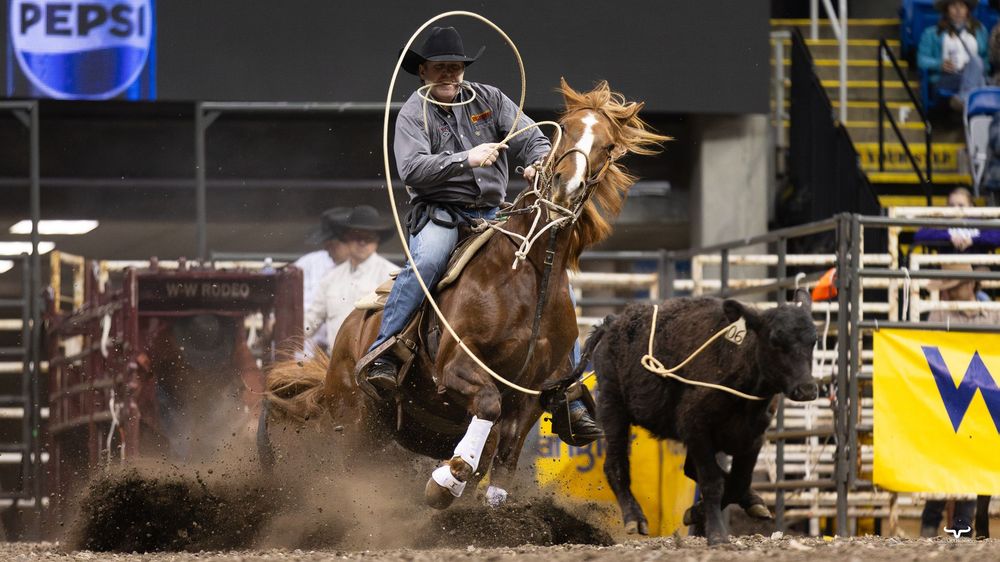 Cowboy on horseback competing in a rodeo steer roping event on a dirt arena floor.