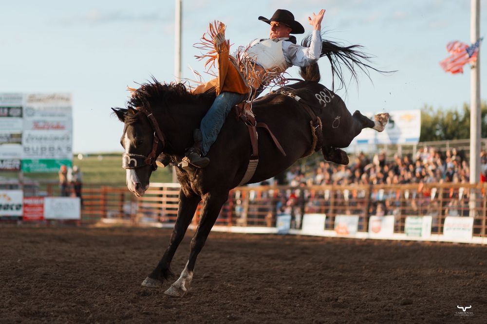 A cowboy rides a bucking black horse at a rodeo competition with a crowd of spectators in the background.