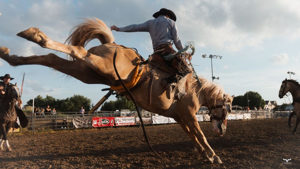 A cowboy rides a bucking palomino horse at a rodeo competition in an outdoor dirt arena.