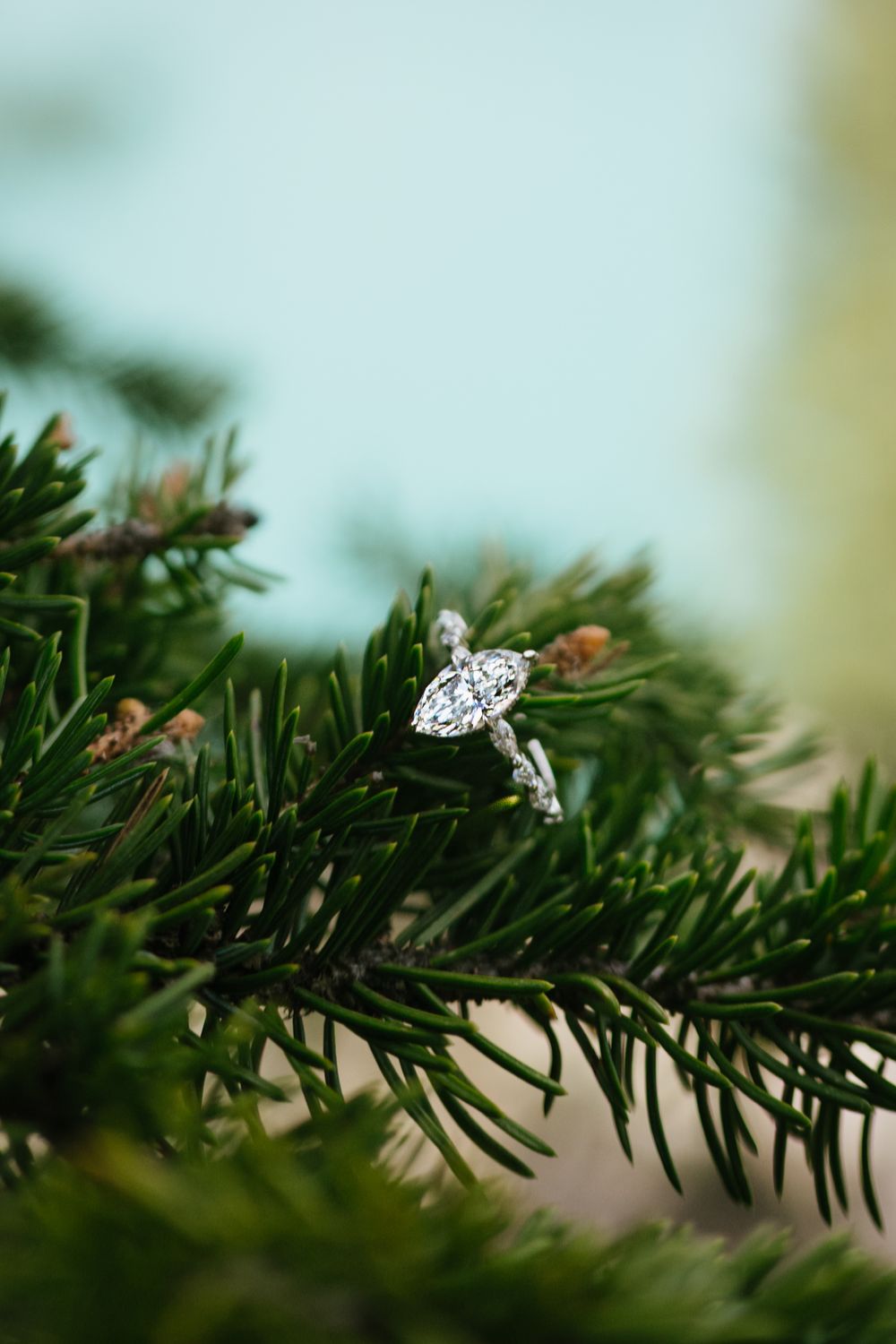 Moraine Lake Proposal Photographer
Moraine Lake Elopement Photographer
Banff Proposal Photographer
Banff Elopement Photographer
Moraine Lake