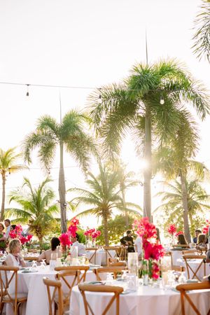 Outdoor tropical wedding reception with white tables, pink floral centerpieces, and tall palm trees at golden hour.