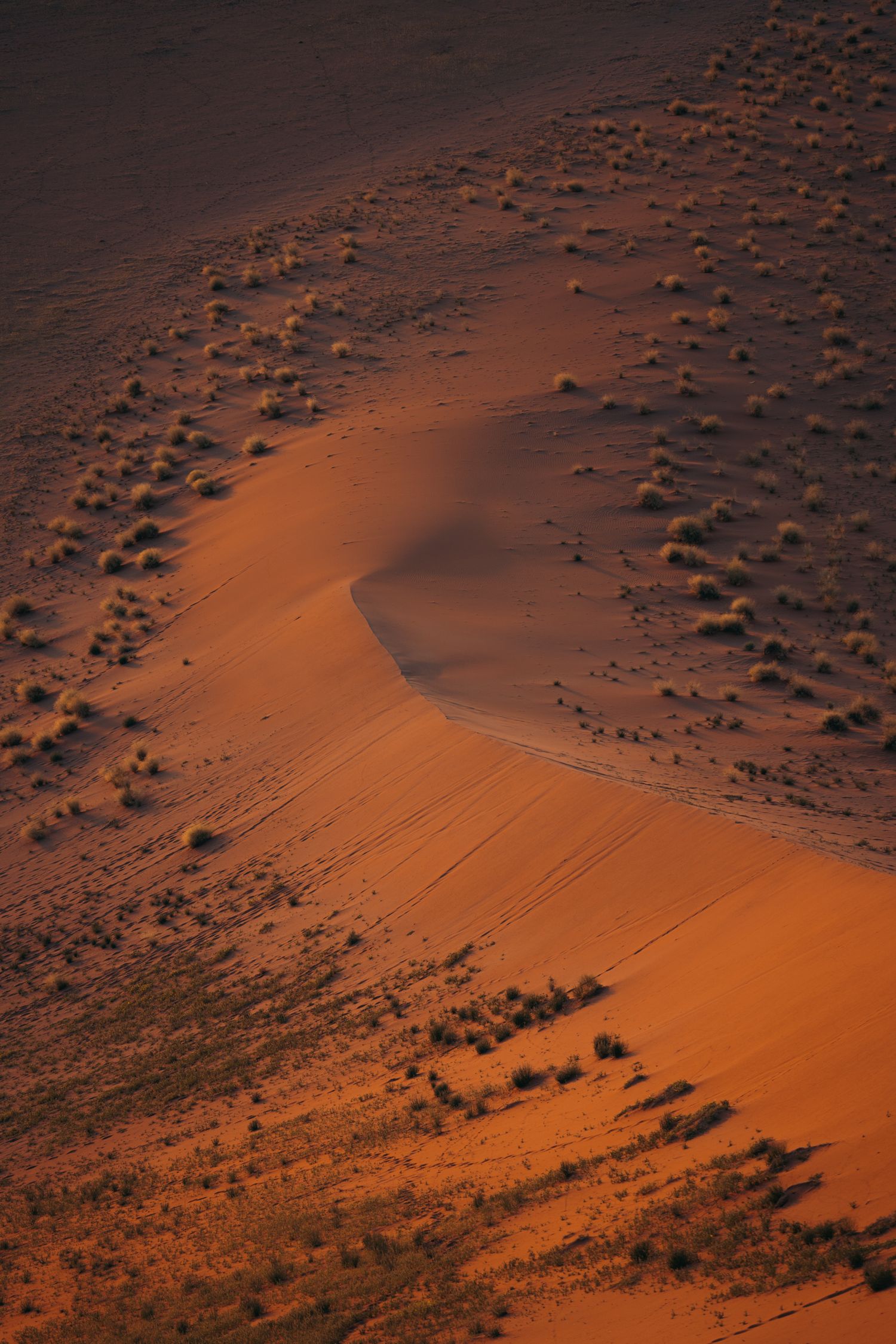 sable du désert du namib
