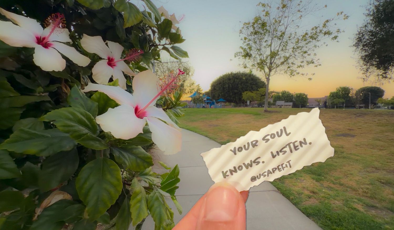 Hand holding a note saying 'Your Soul Knows. Listen.' near blooming hibiscus flowers along a scenic park pathway.