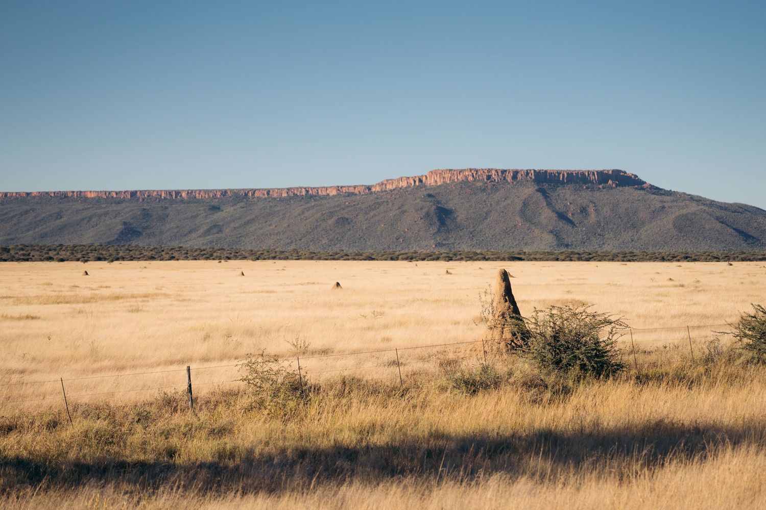 paysage brousse namibie avec des termitières