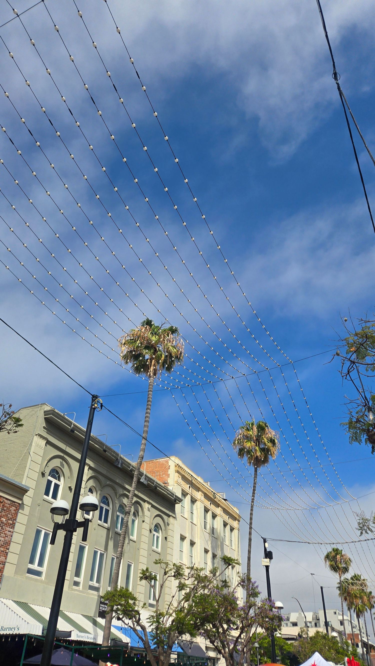 Blue sky with string lights, palm trees, and historic buildings lining a sunny urban street.