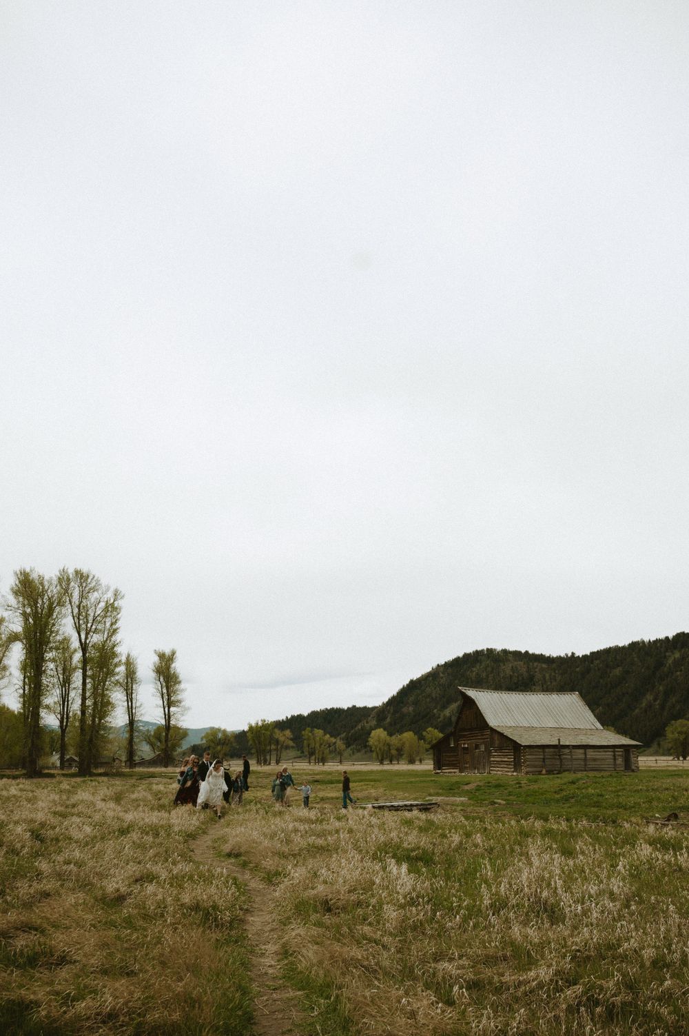 A rustic wooden barn sits in a vast meadow as a wedding party walks through tall grass with mountains behind.