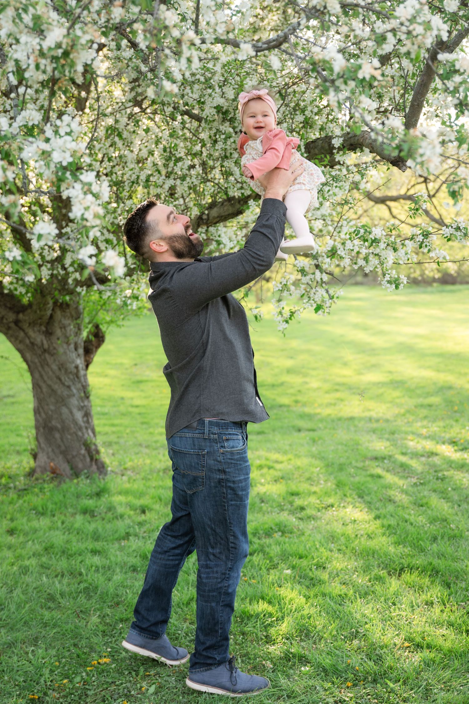 Bearded father lifting smiling baby in pink outfit outdoors near blooming white flowering tree on green grass.