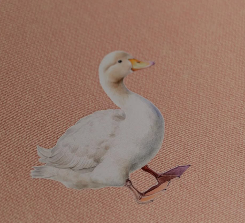 Vintage illustration of a white duck with yellow beak and pink feet on a soft peach textured background.