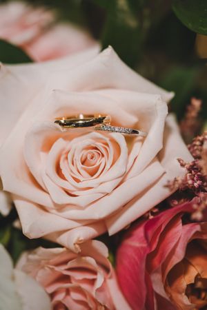 Washington, DC wedding and elopement photographer, Joey Rushfield Photography