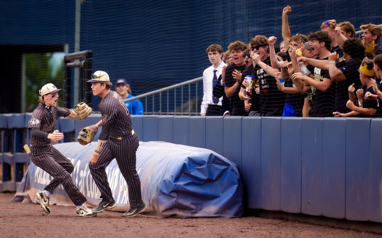 Baseball players celebrating with fans during PIAA Class 1A State Baseball Championship, by Deanna Fox, SportsFox Photography, Hershey PA