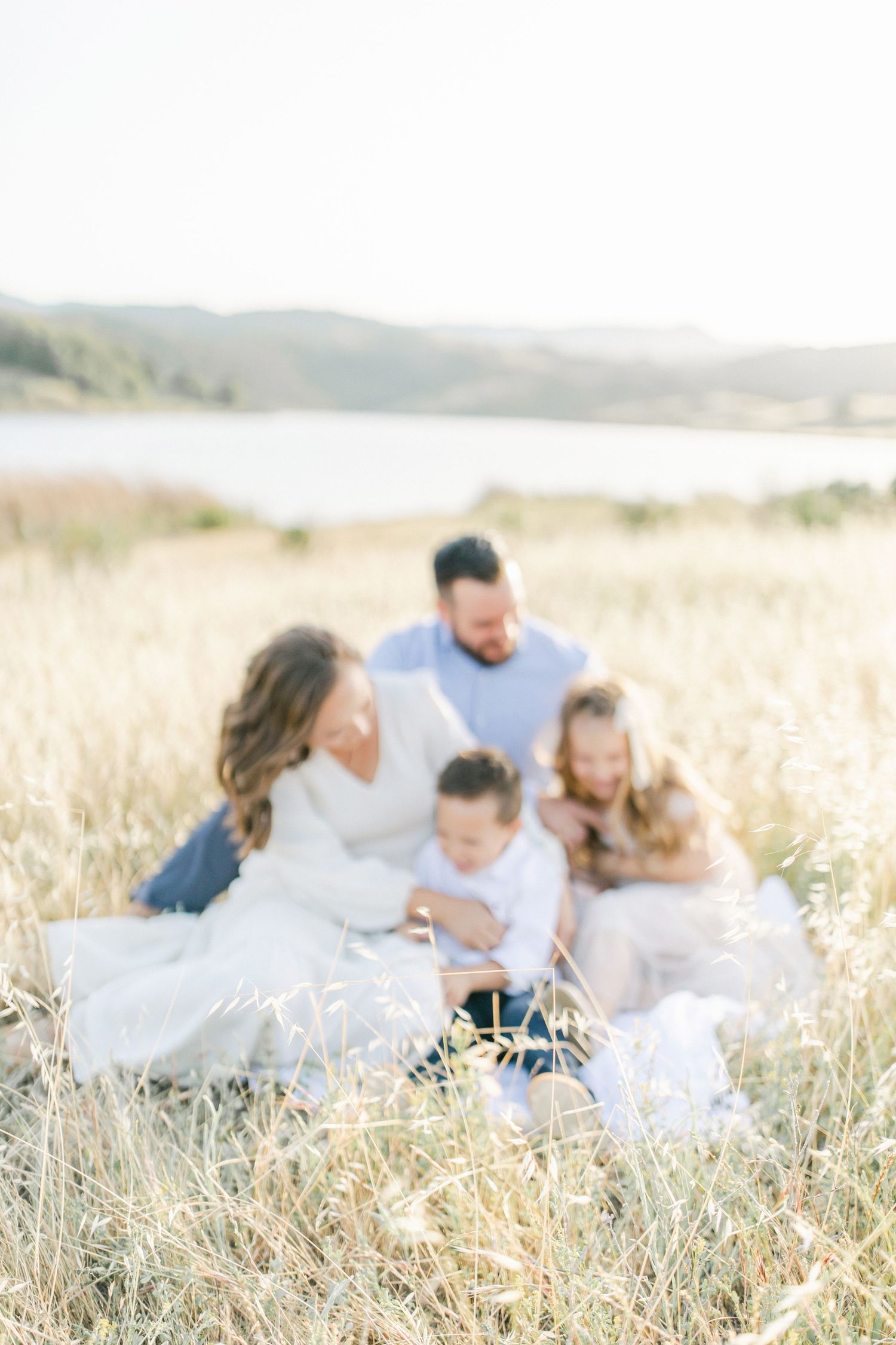Family of four sitting together in golden field near lake, bathed in warm sunlight, soft focus lifestyle portrait.