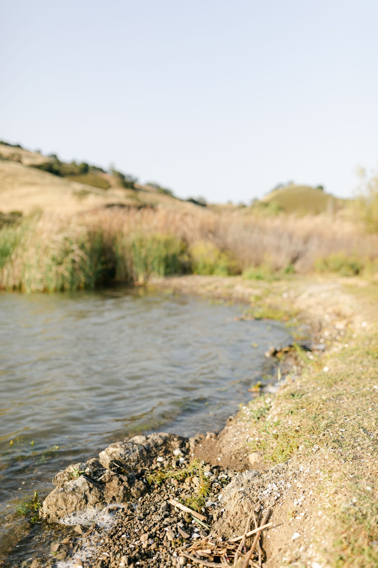 Rocky riverbank with calm water, dry golden grasses, and rolling hills under a clear blue sky.