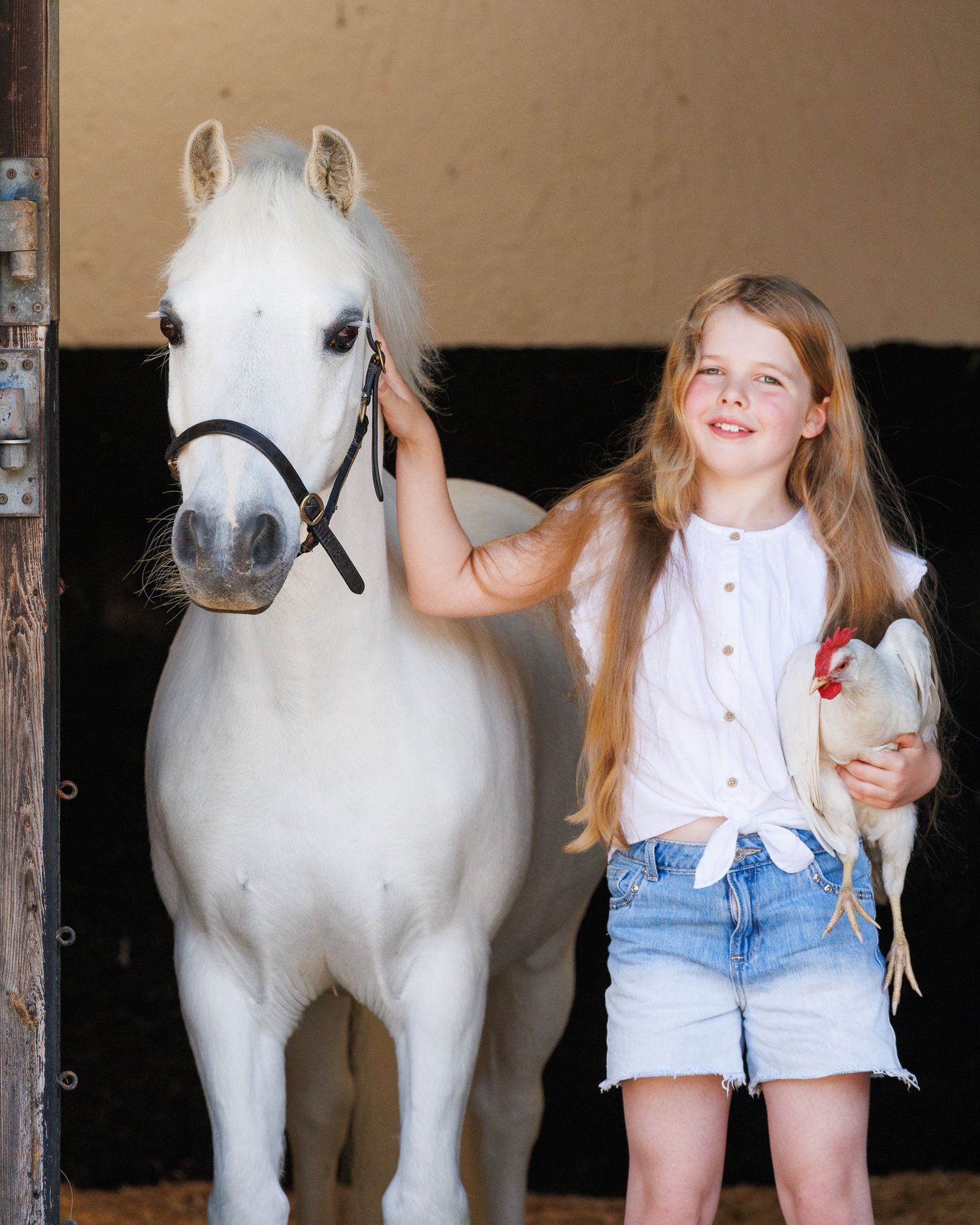 A series of seven photos showing a white horse and rider interacting at a wooden fence in an outdoor setting.