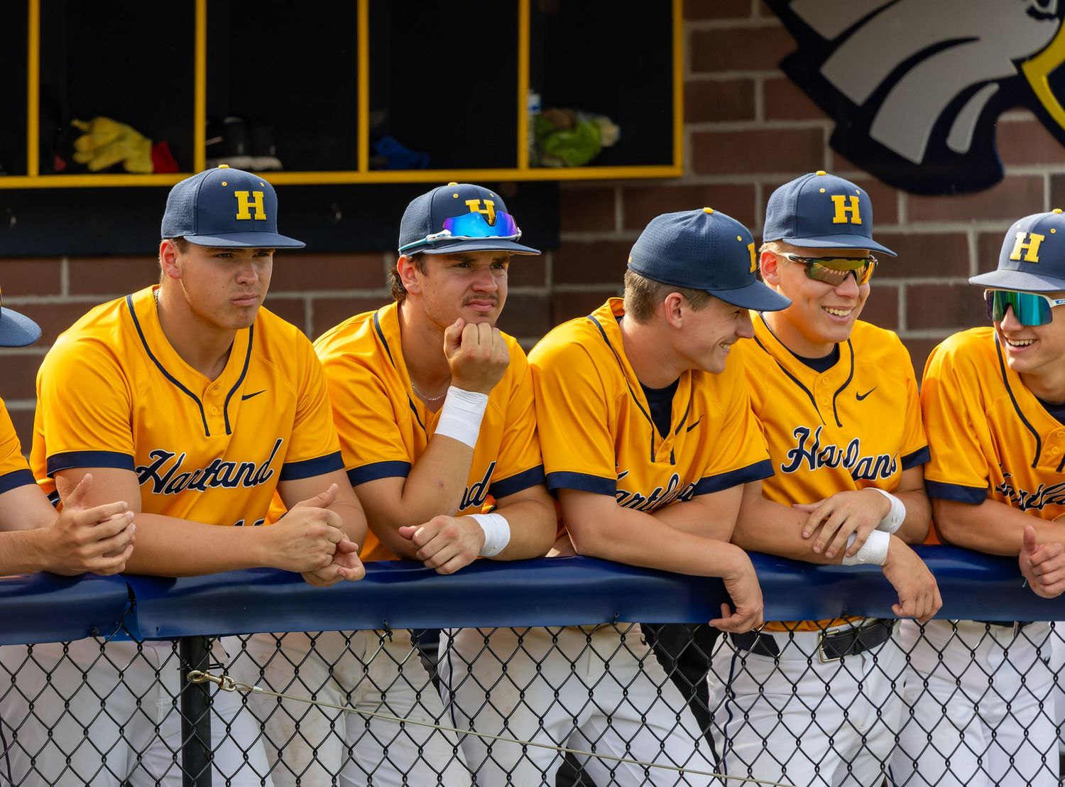 Hartland Eagles baseball team huddles on the field in gold and black uniforms during a sunny game day.