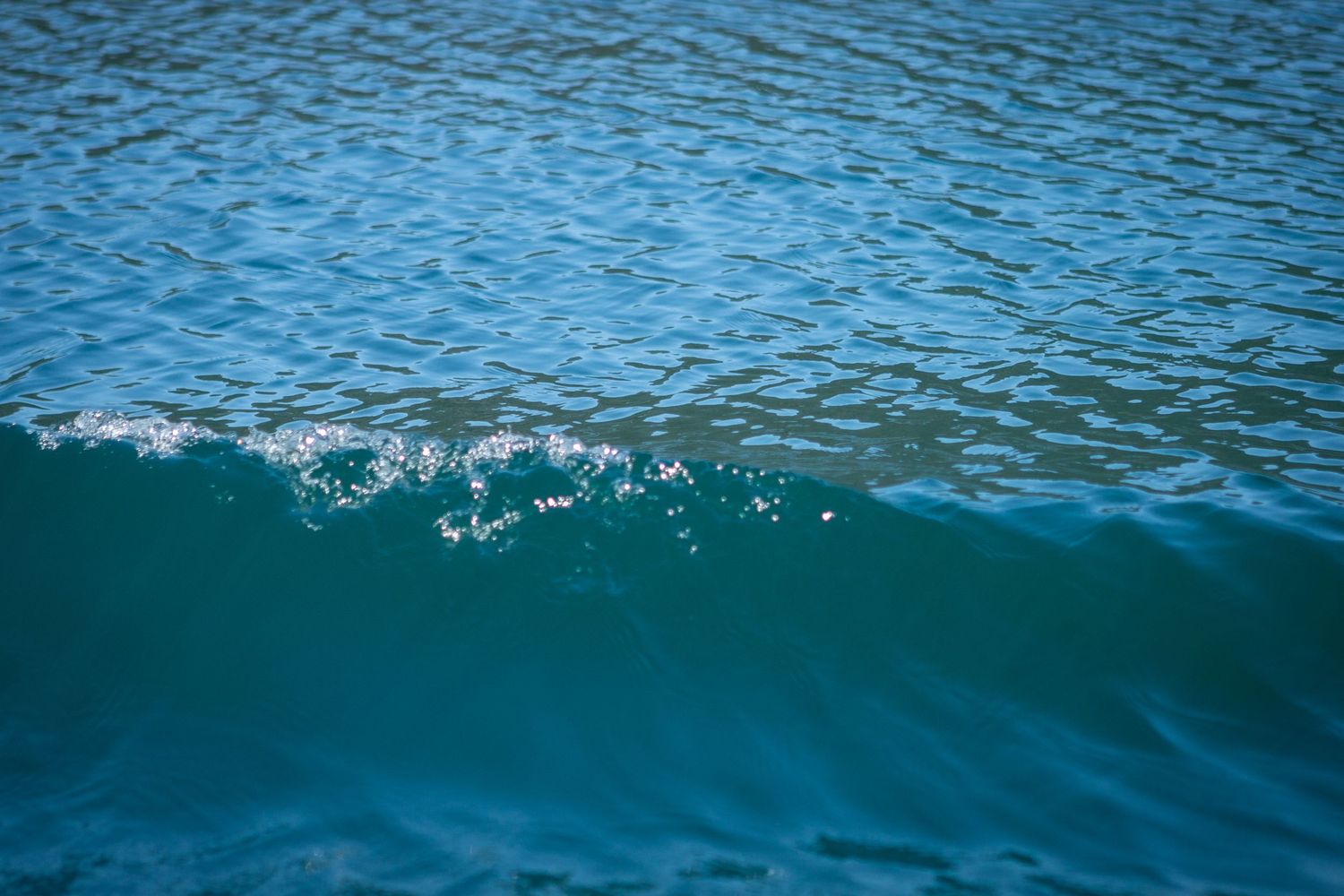 A vibrant turquoise ocean wave curls and breaks with white sea foam on a calm blue sea surface.