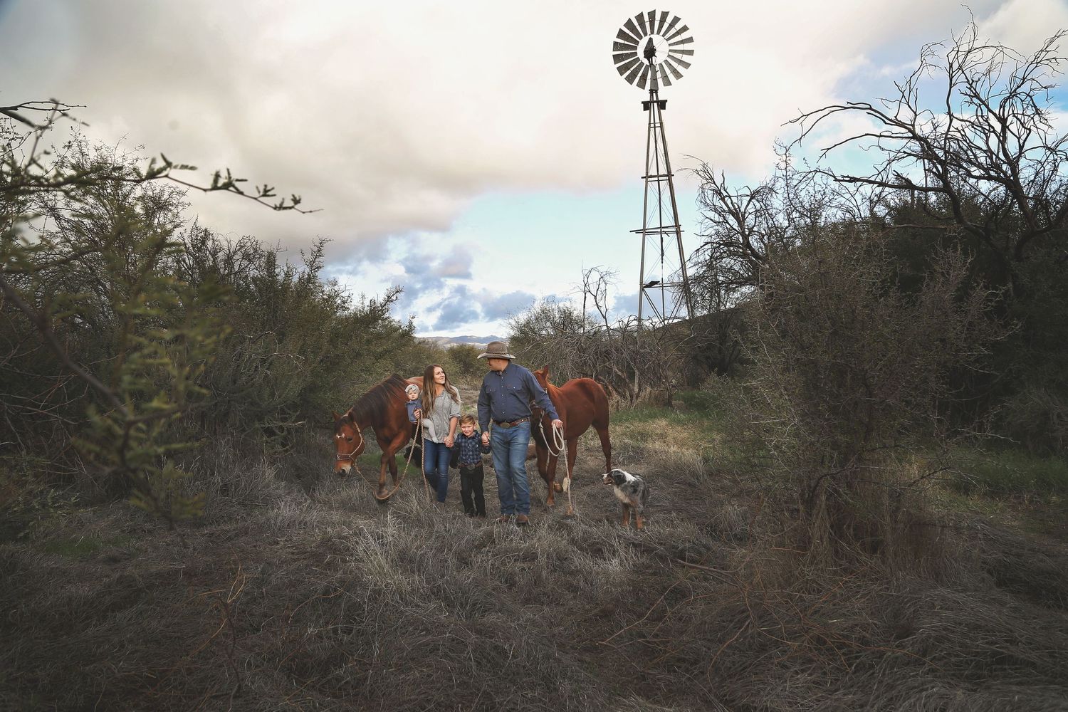 A family with two adults, a child and a dog walking beside a brown horse through a scrubby field with a windmill under a cloudy sky.