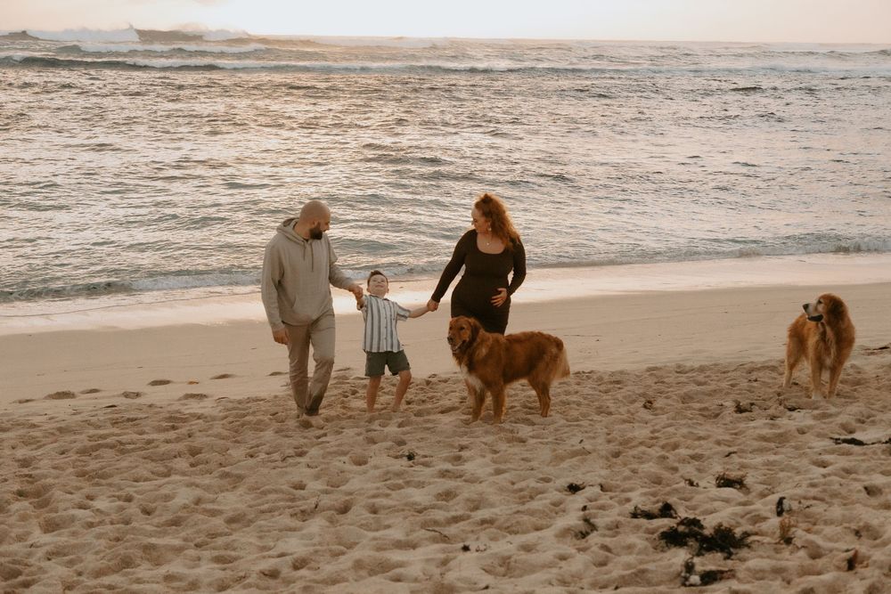 Family with young child and two golden dogs walking on a sandy beach at sunset.