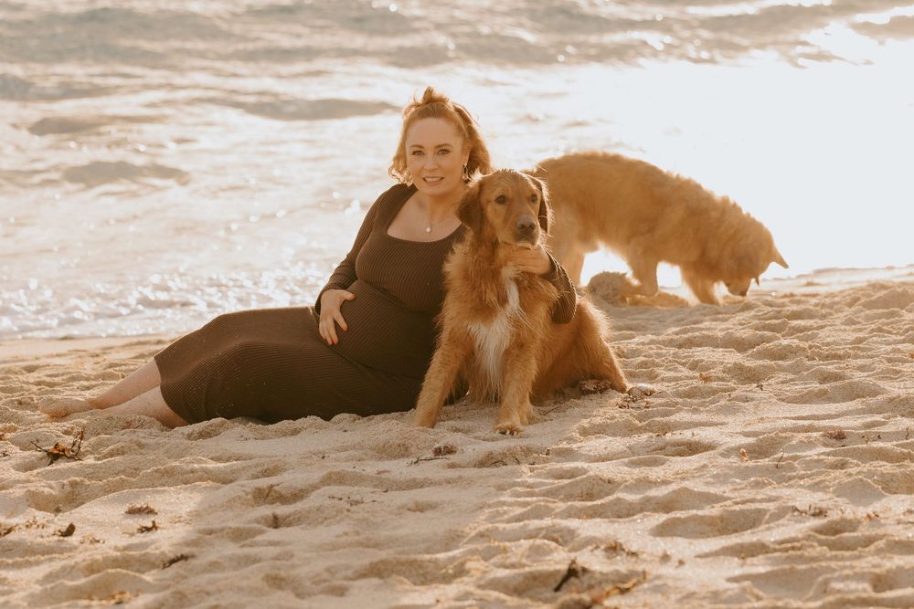 Pregnant woman in black dress sits on sandy beach with golden retriever dog at golden hour sunset.