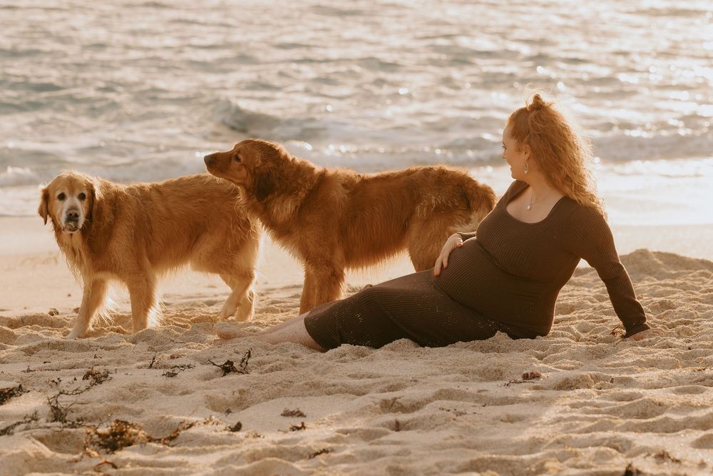 Pregnant woman in black sits on sandy beach with two golden retrievers at sunset.