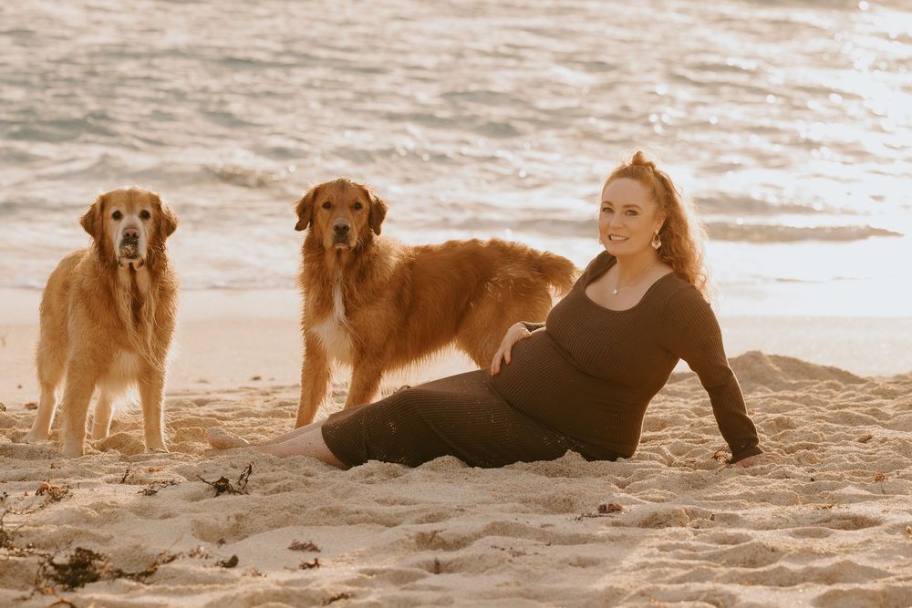 Pregnant woman sitting on sandy beach with two golden retrievers by the ocean at sunset.