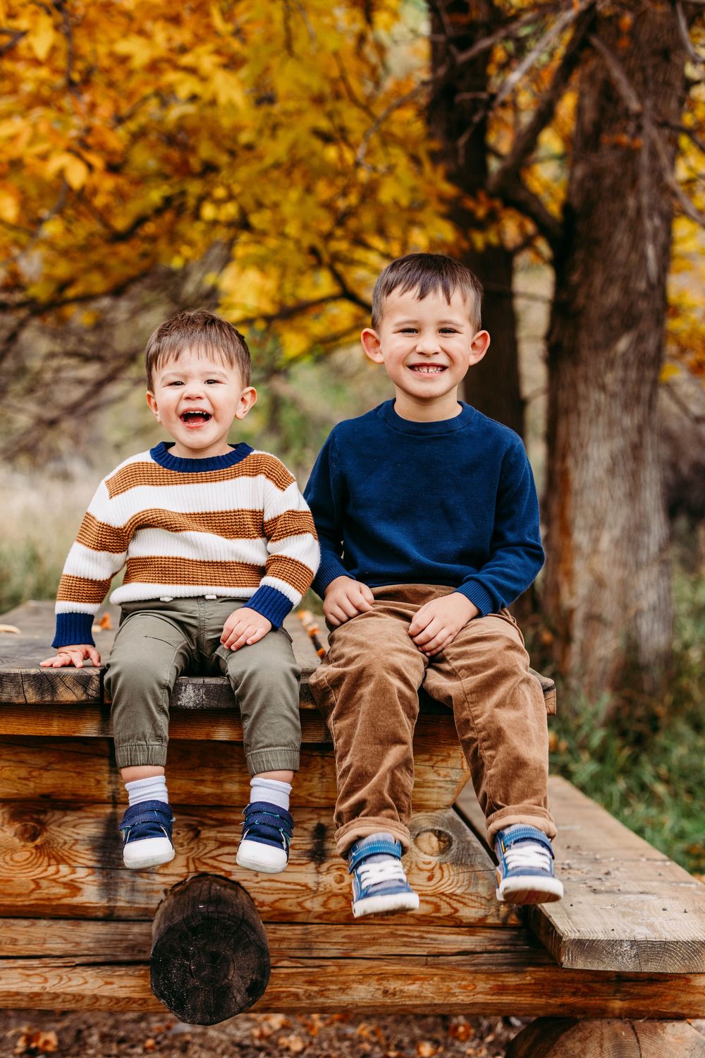 Two young brothers sit laughing on a wooden bench surrounded by vibrant fall foliage.