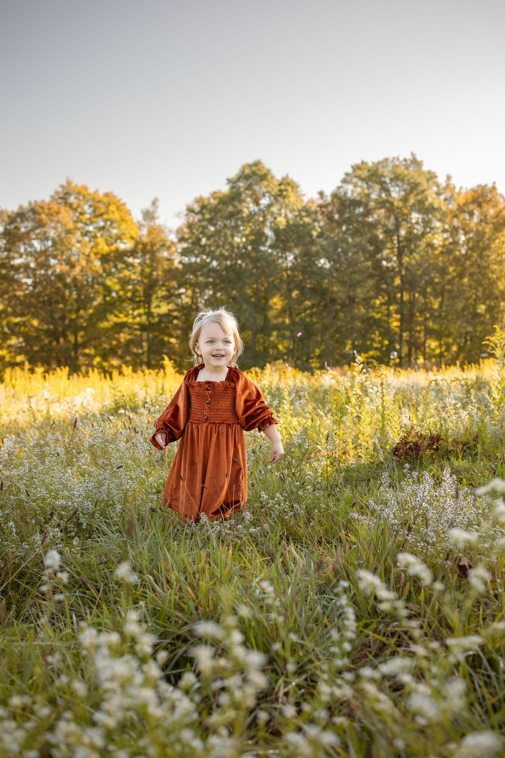 Smiling toddler girl in rust dress standing in sunny wildflower meadow with golden autumn trees behind her.