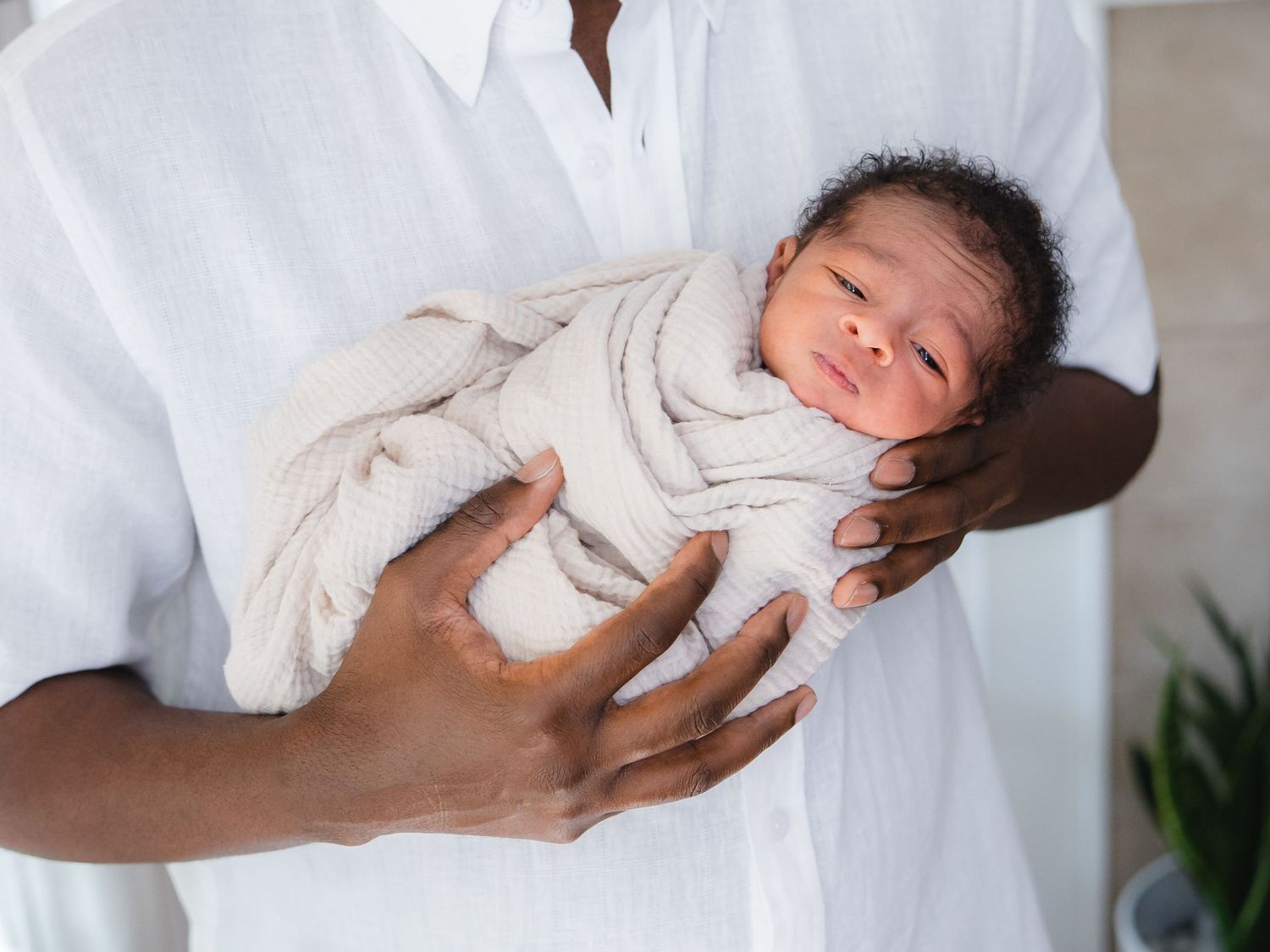 A newborn baby swaddled in a cream blanket being gently cradled in an adult's hands.