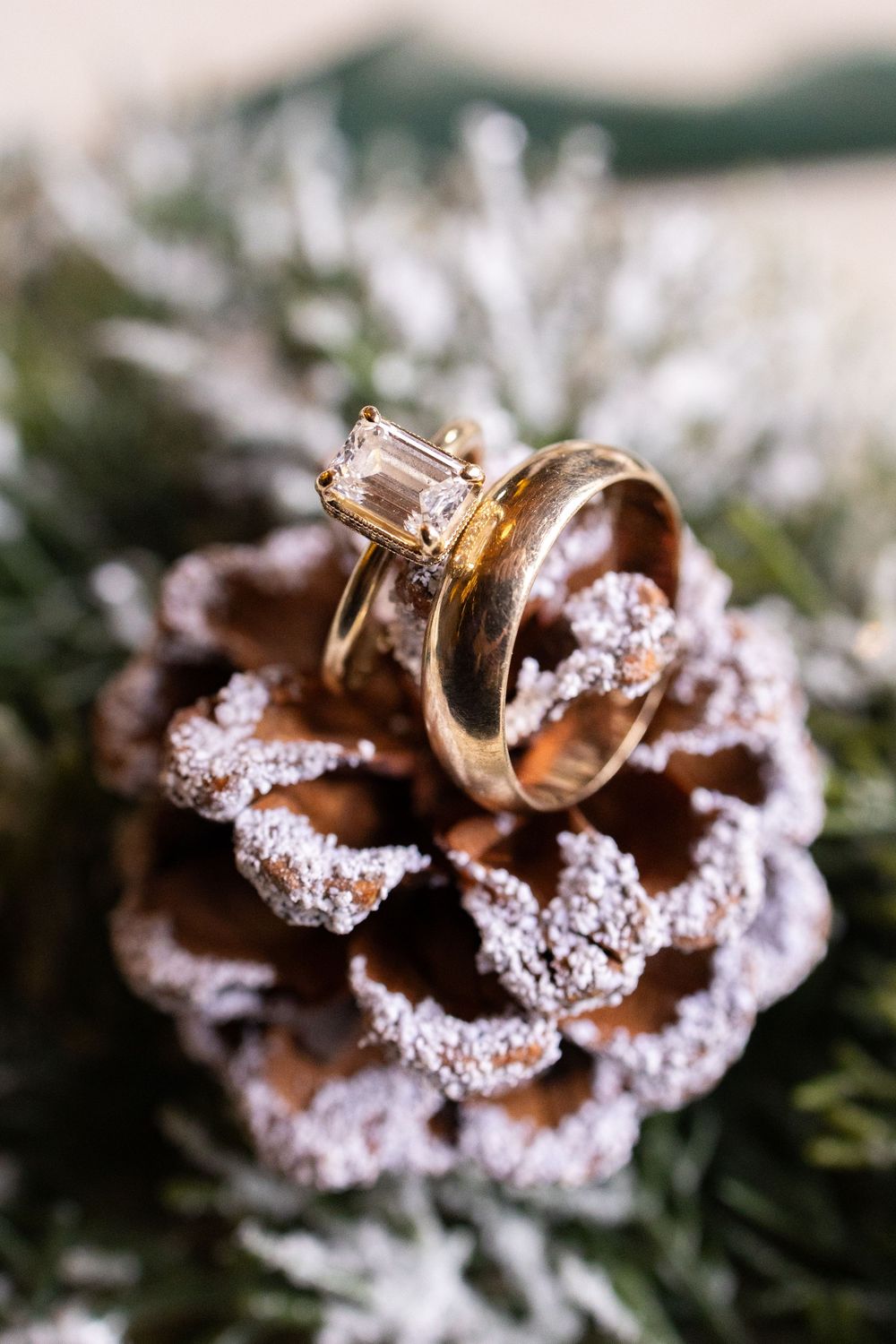 Gold wedding bands and diamond engagement ring displayed on a frosted pine cone with snowy evergreen branches.
