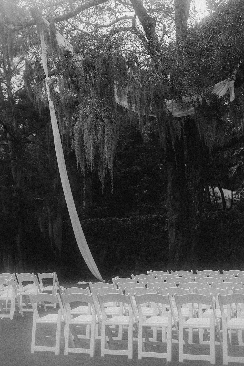 Black and white outdoor wedding ceremony setup with white chairs and fabric draped from moss-covered oak trees.