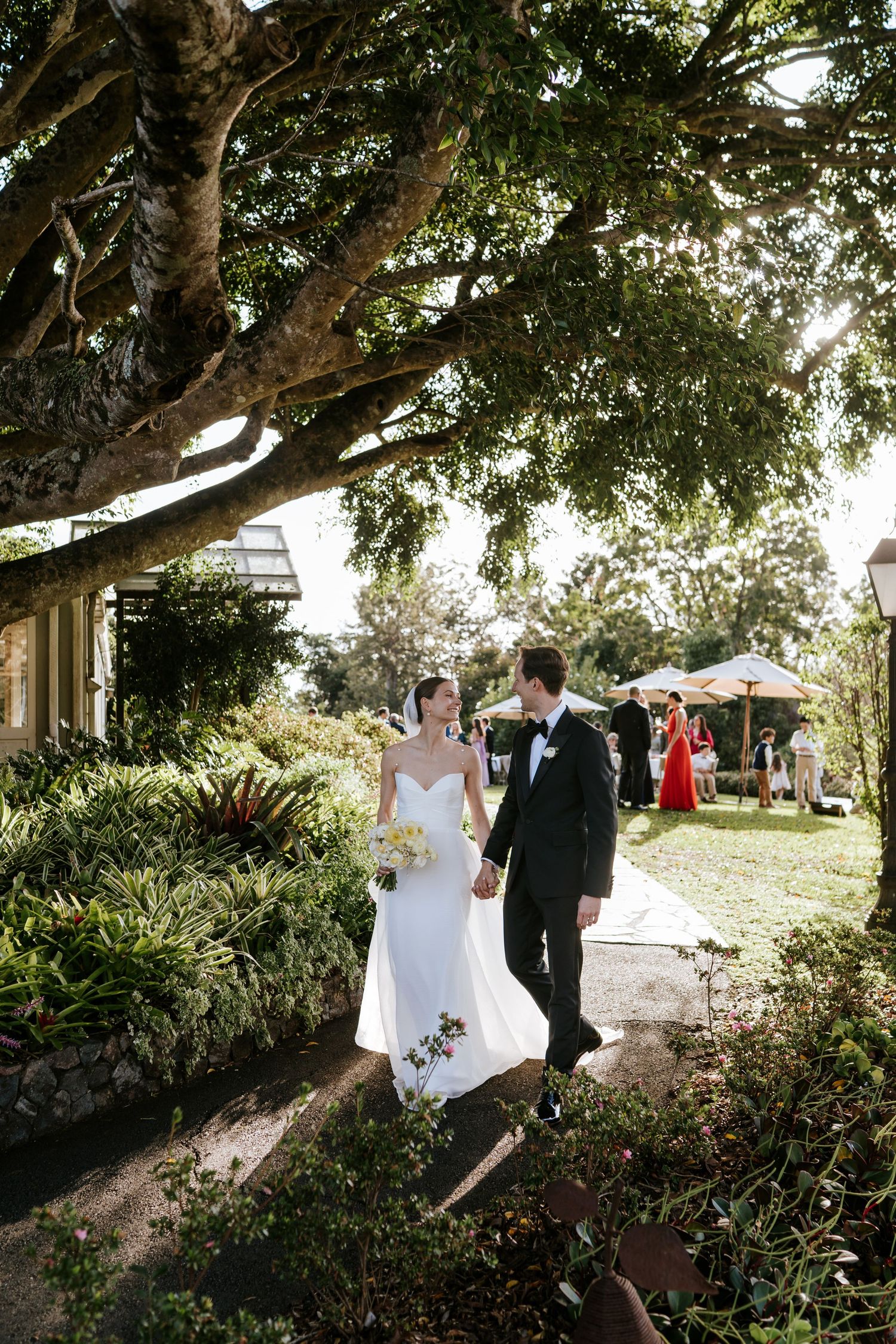 Spicers Clovelly Estate Montville Wedding - Sunshine Coast Wedding Photographer