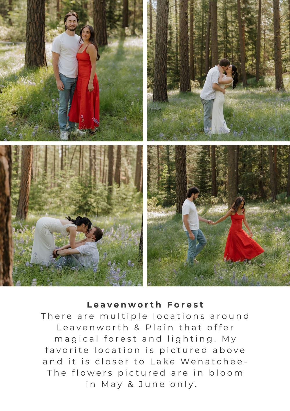 Couple poses in Leavenworth forest with wildflowers blooming among tall pine trees near Lake Wenatchee in May.