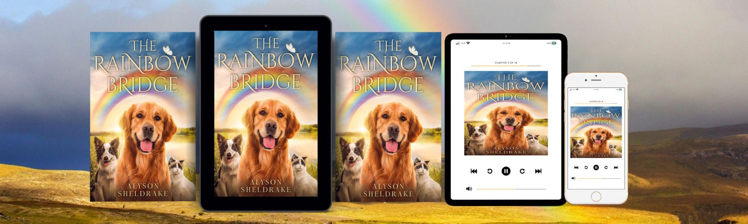 Book covers for The Rainbow Bridge by Alyson Sheldrake displayed on a tablet, e-reader, phone, and print formats with a rainbow background.