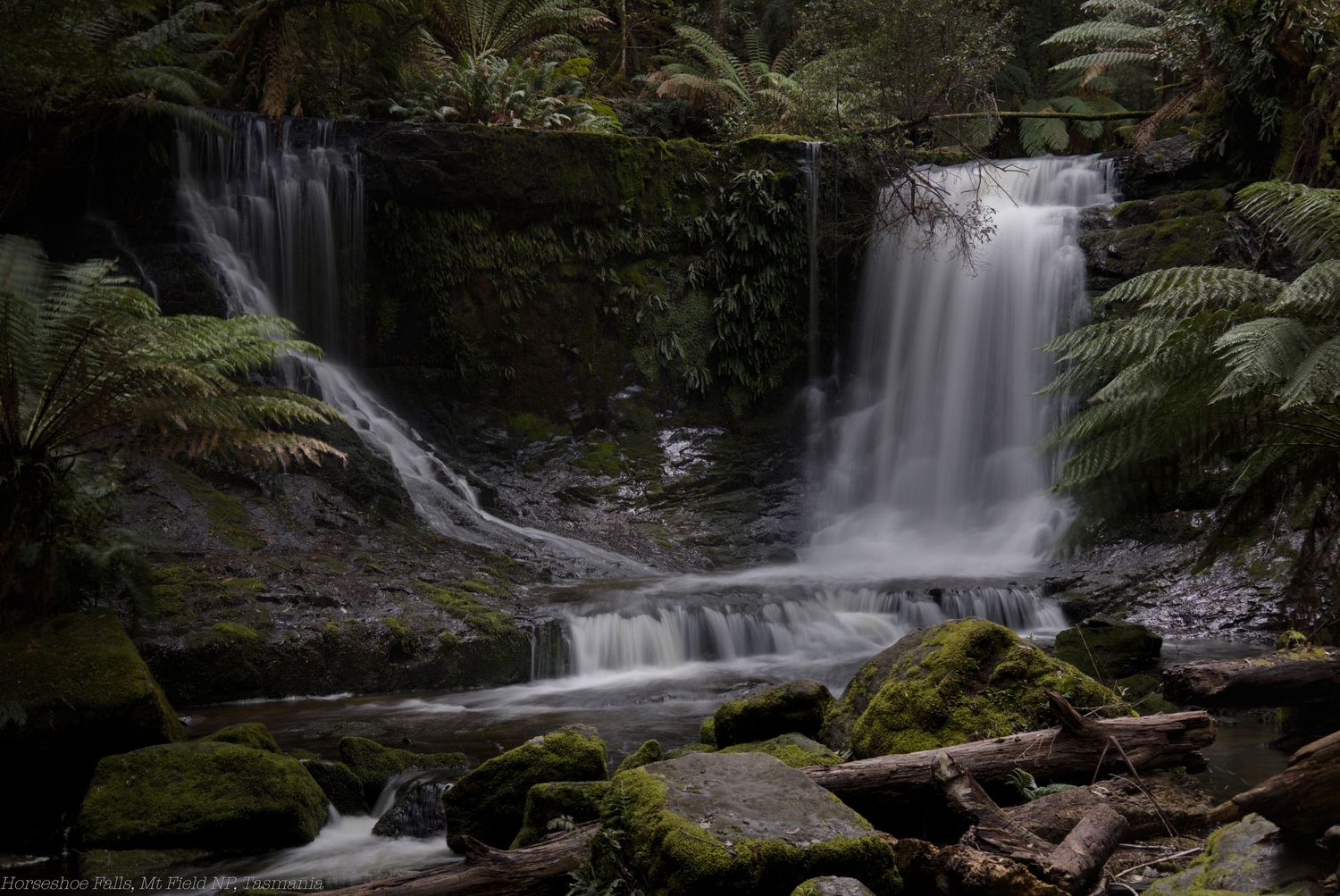 Twin waterfalls cascade over mossy rock ledges into a calm stream, surrounded by lush ferns and fallen logs in a temperate rainforest.