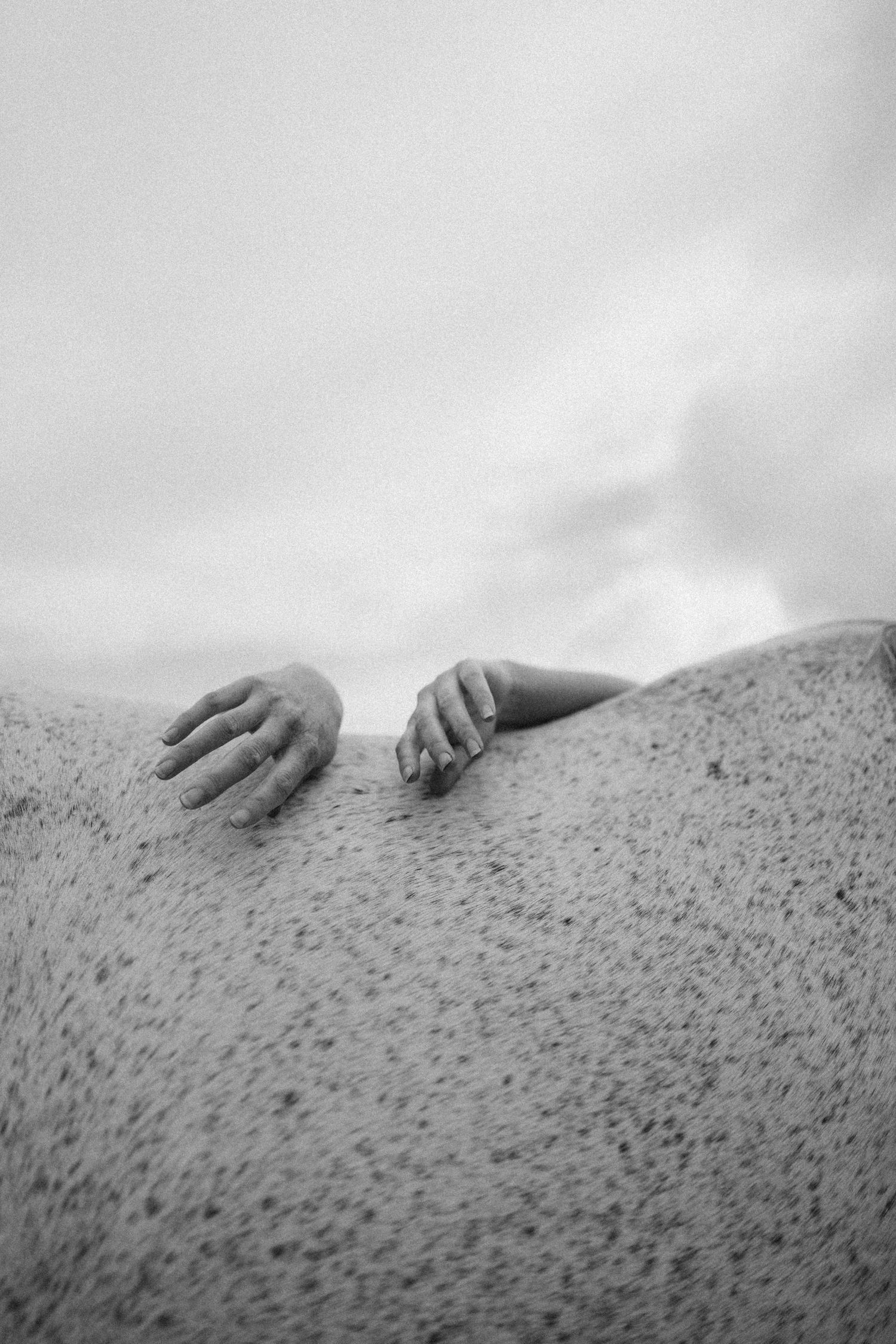 Black and white photo of two hands resting on a sandy beach dune with overcast sky in background.