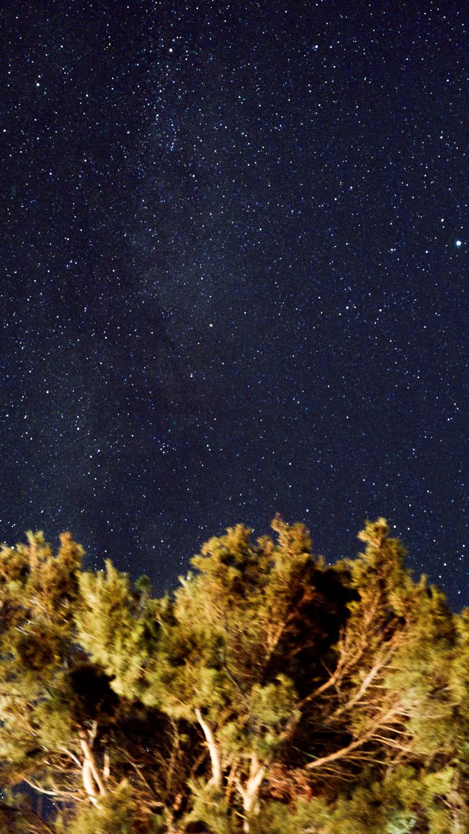 headlands-international-dark-sky-site-park-mackinac-mackinaw-city-michigan-astronomy-astrophotography-photography-225426