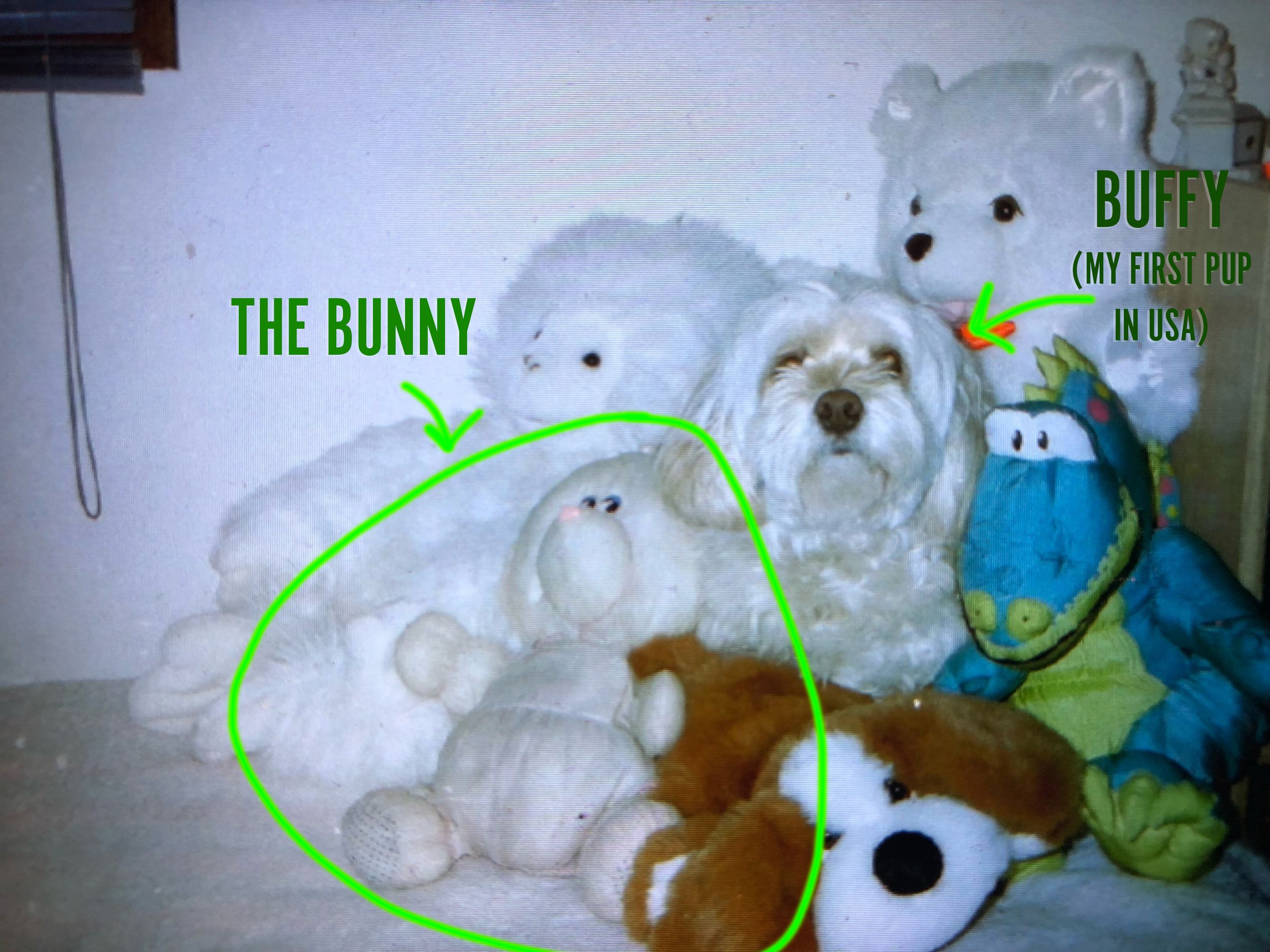 A pile of stuffed animals and a white lhasa apso terrier dog sitting in the middle.
