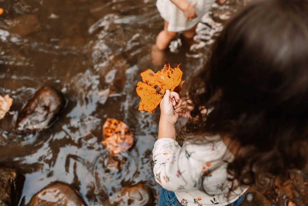Young girl holding an orange autumn leaf over a rocky stream.