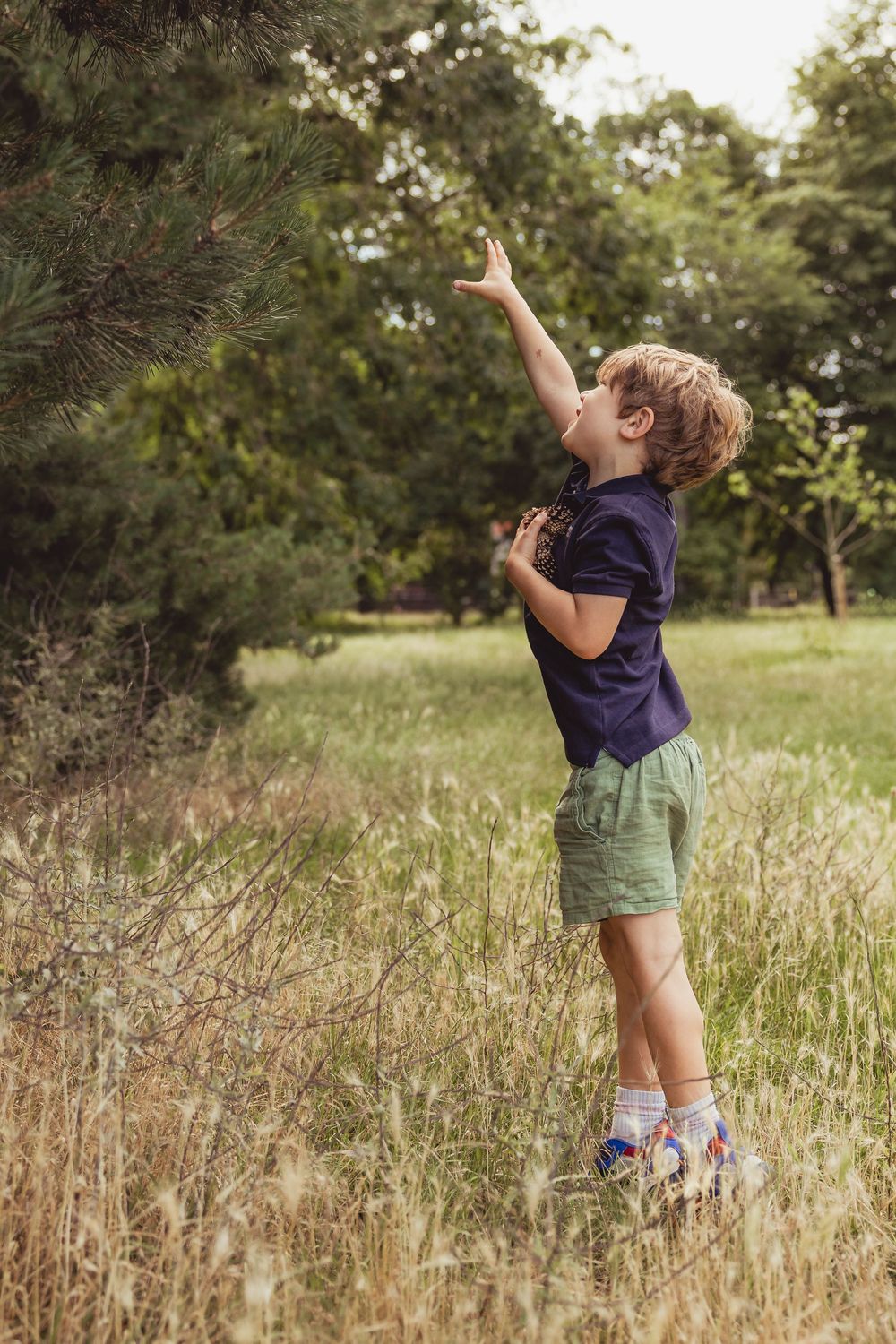 Young boy in green shorts reaches up to touch pine tree branches in a lush park setting.