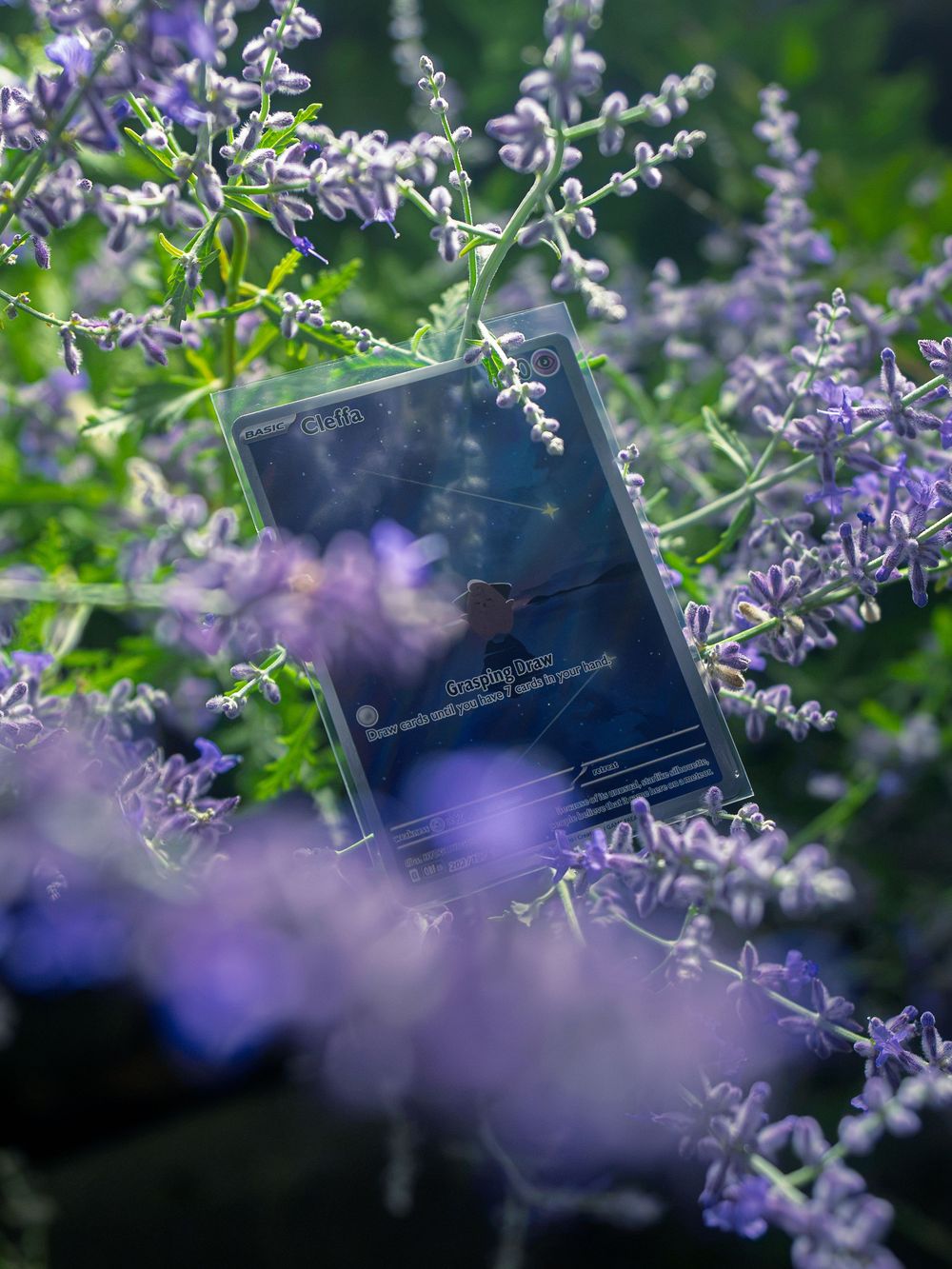 Product photograph of a starry blue-black collectible card nestled upright among purple lavender blooms, sunlight catching its surface.