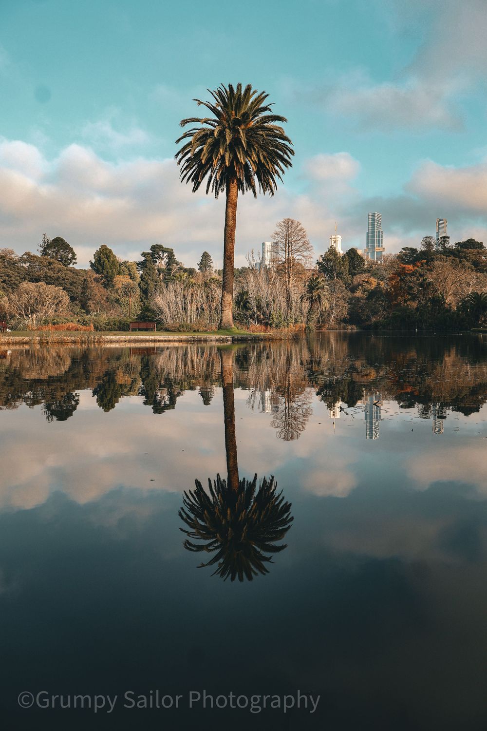 Peaceful reflections and towering palms capture a quiter side of the inner-city Melbourne.