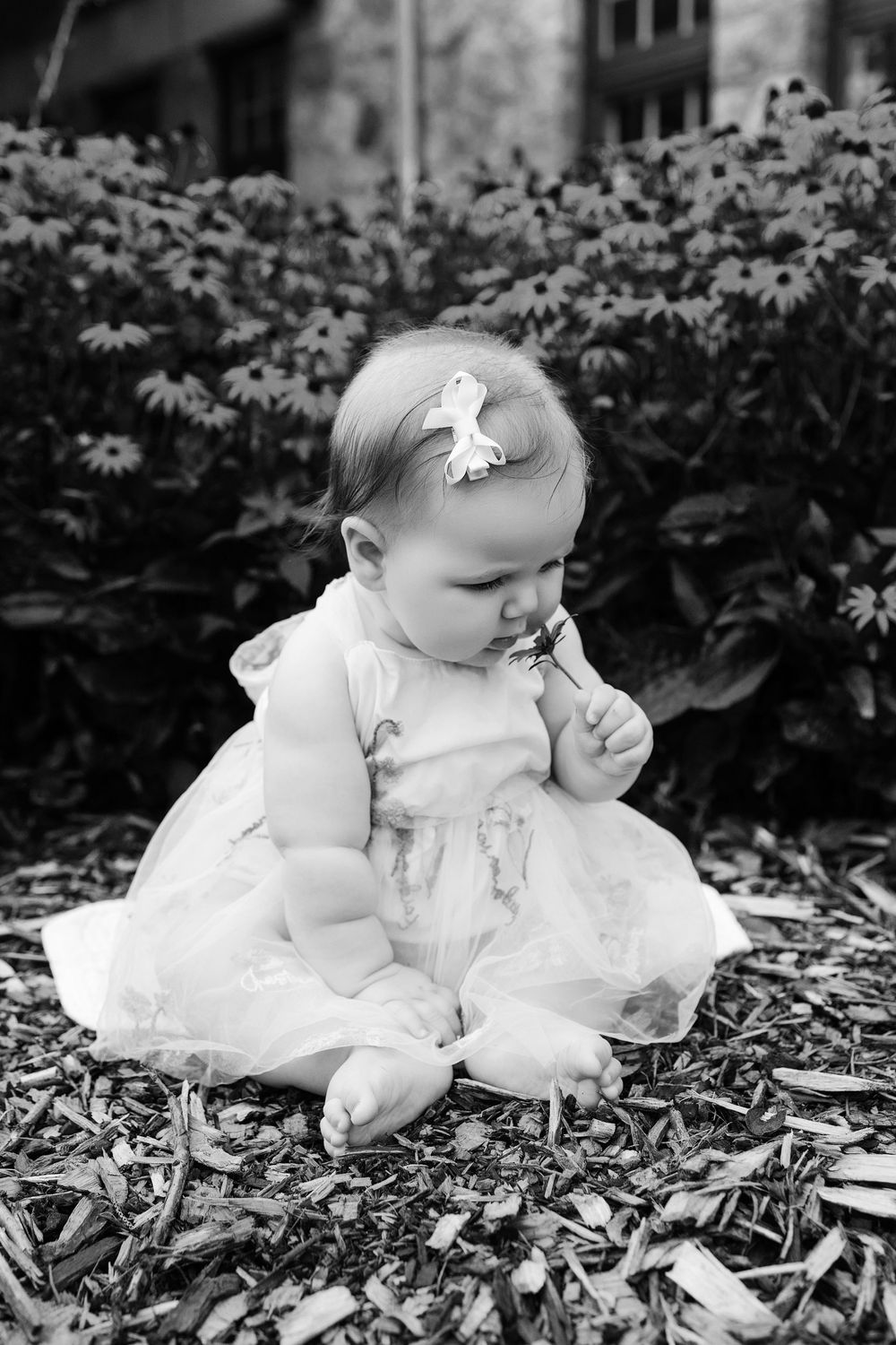 Family photographer in Delafield Wisconsin. Kendall Kuss Photography