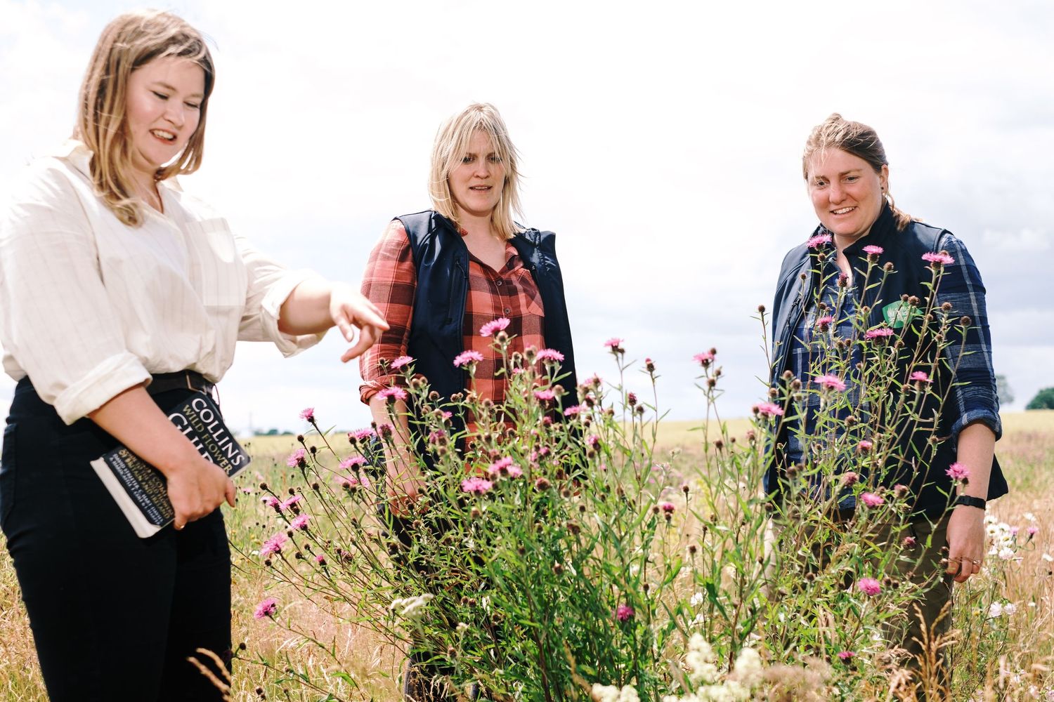 Three Suffolk Wildlife female Staff members are examining wildflowers in a blooming meadow field on a sunny day. Photograph by John Ferguson
