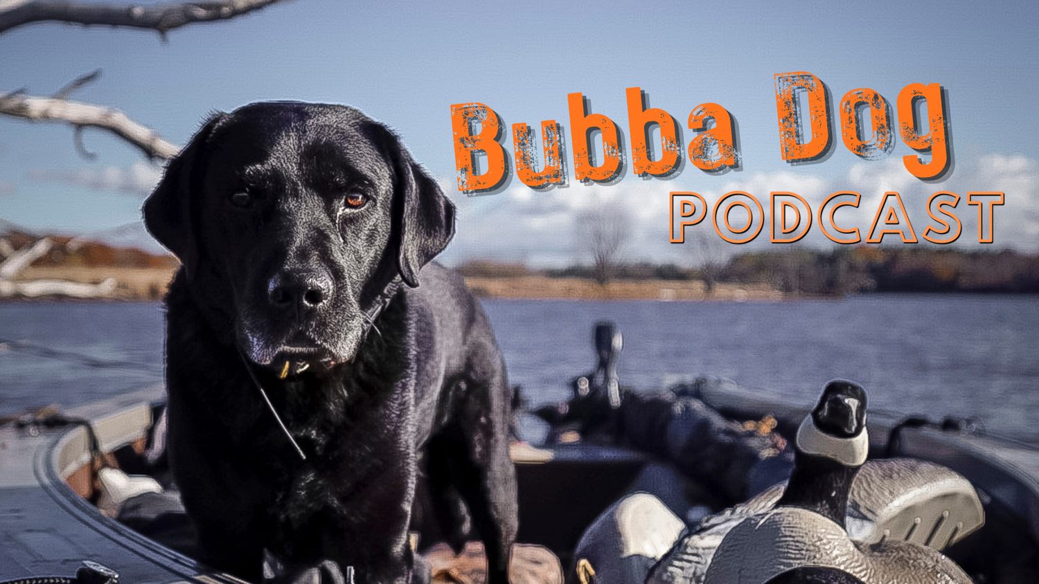Black Labrador retriever sitting on a hunting boat with duck decoys, Bubba Dog Podcast with Jesse Warner logo.