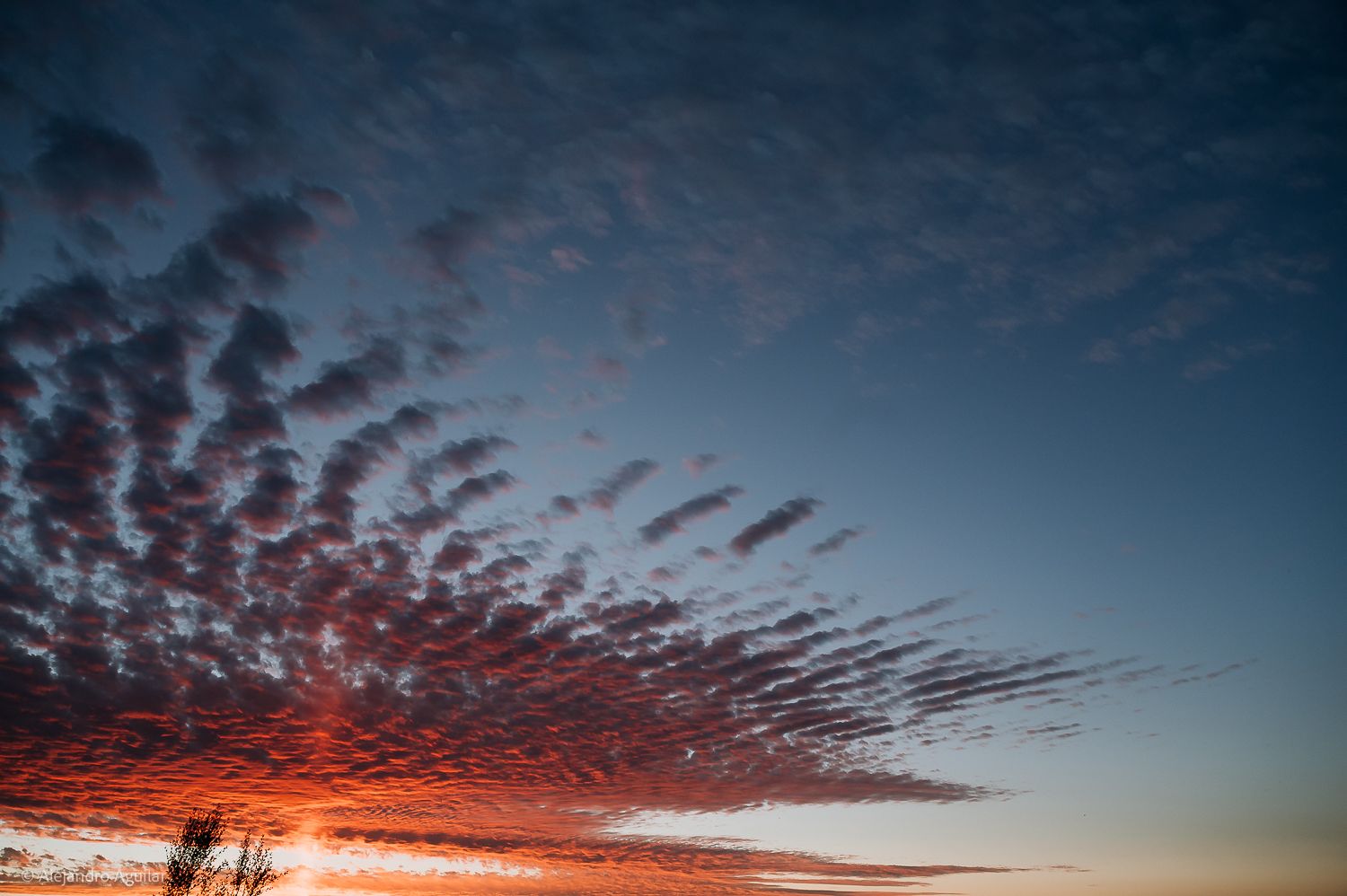 Stunning sunset sky with dramatic red and pink altocumulus clouds against a deep blue twilight horizon.