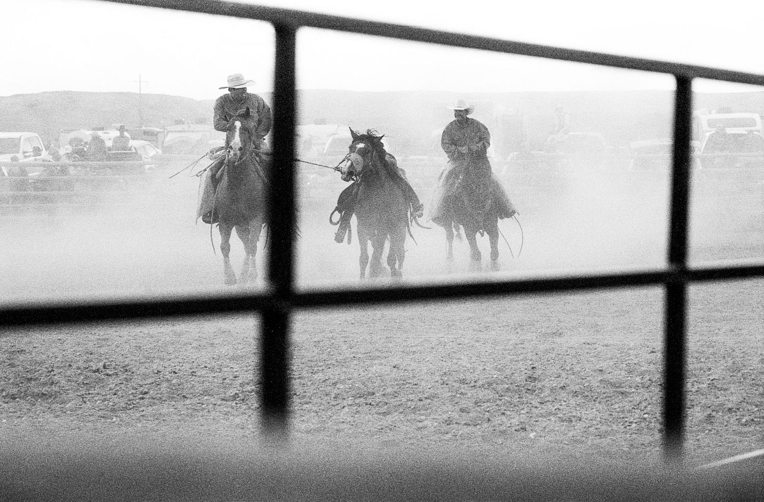 Close‑up black‑and‑white photo of a horse’s muzzle behind barbed wire, with hay hanging from its mouth.