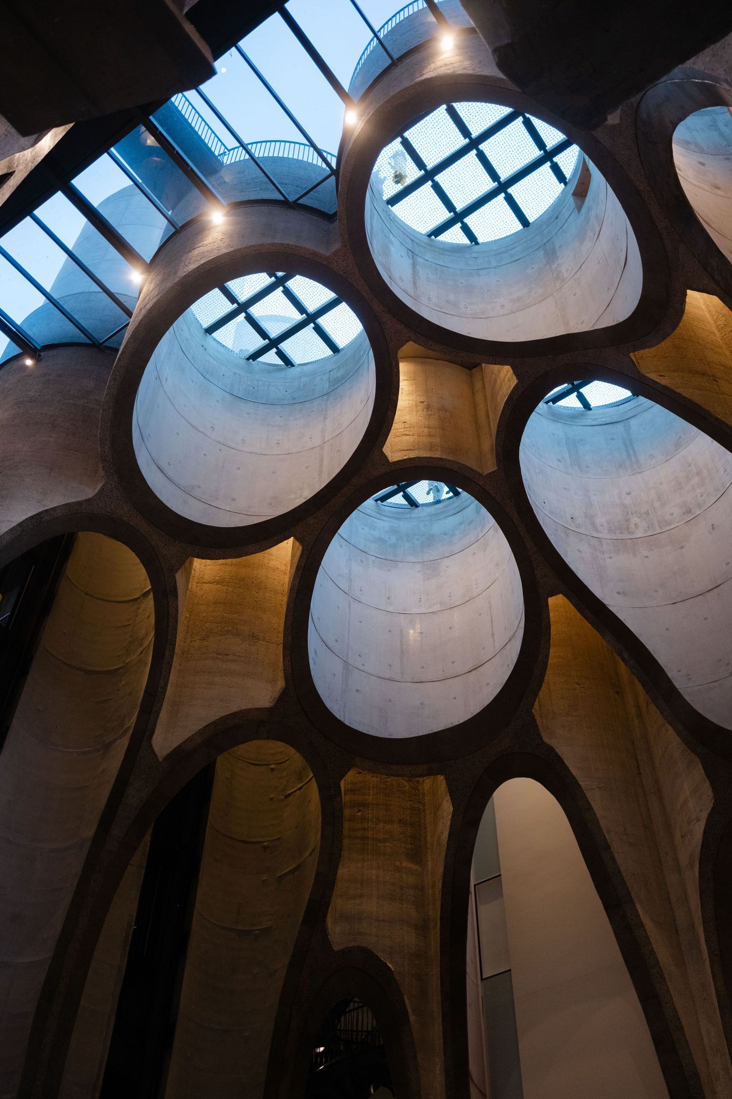 Interior view of a modern building featuring organic concrete arches with oval skylights allowing natural light to filter through.