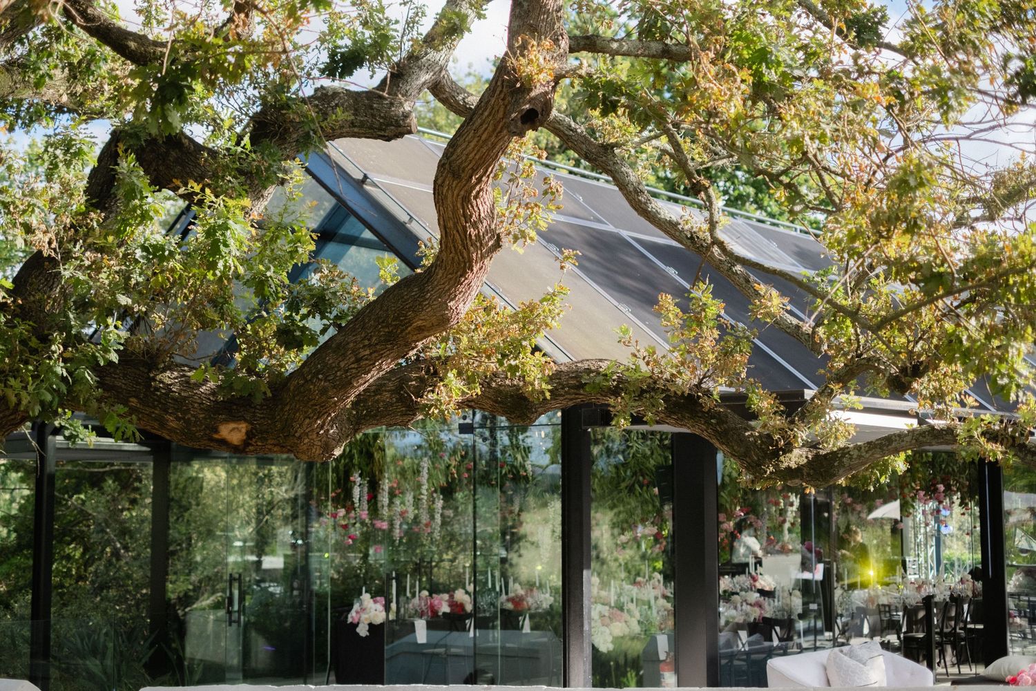Modern glass pavilion restaurant nestled beneath a sprawling oak tree, showcasing architectural harmony with nature.