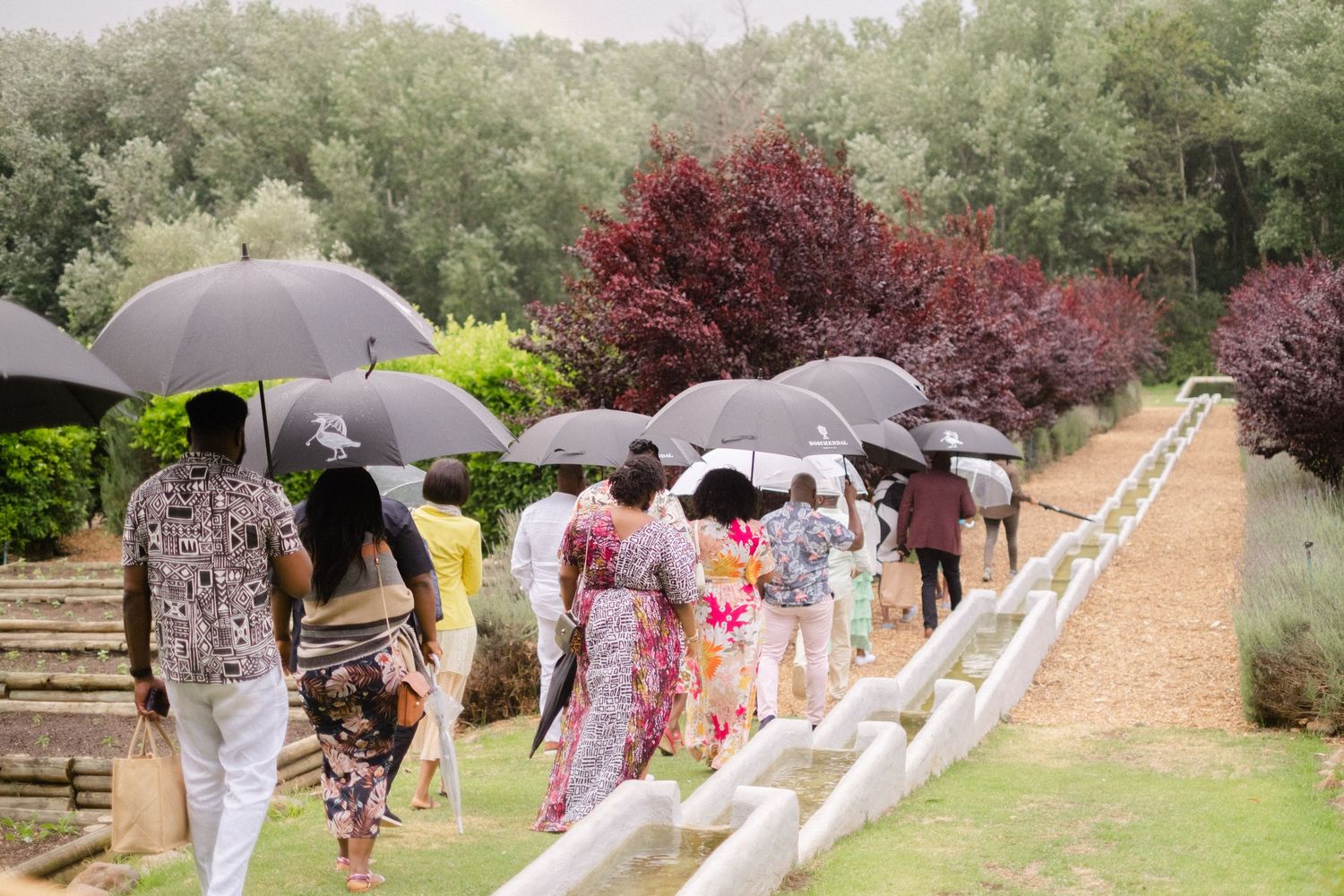 Group of people walking with black umbrellas along a garden path on a rainy day, surrounded by colorful trees.