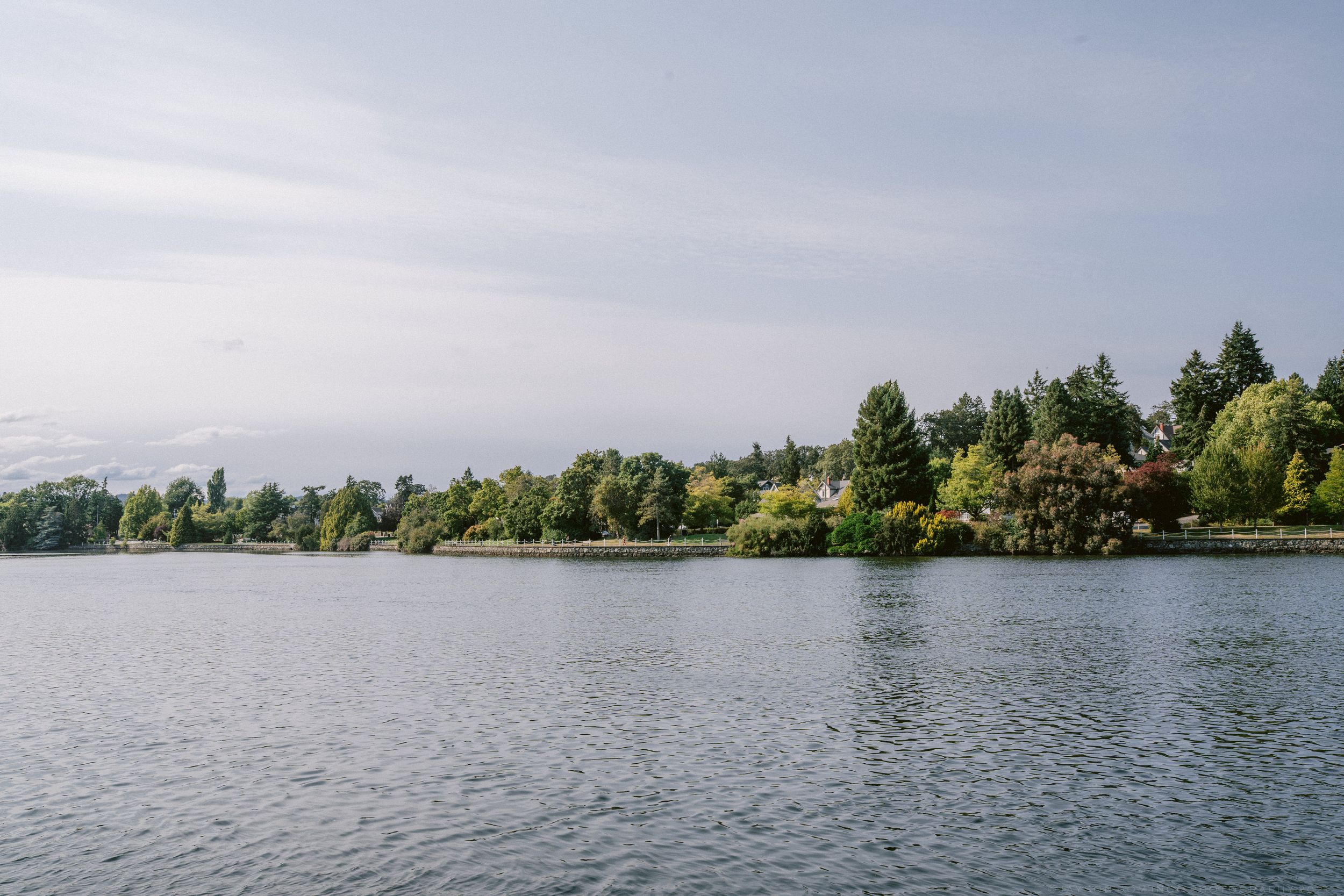 Serene lakeside landscape with calm water reflecting overcast sky and lush green trees along the shore.