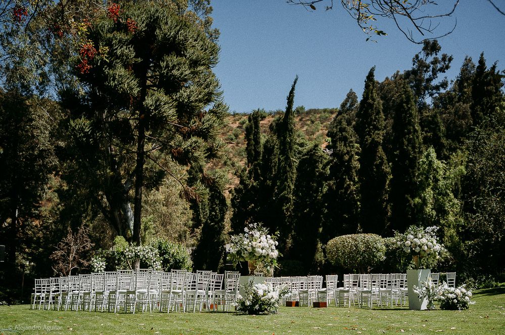 Outdoor wedding ceremony setup with white chairs on green lawn surrounded by tall cypress trees and lush gardens under blue sky.